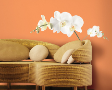 White Orchid Vinyl Wall Deco Sticker