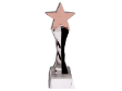 CRYSTAL GLASS TROPHY WITH STAR 15