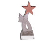 CRYSTAL GLASS TROPHY WITH STAR 16