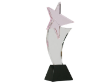 CRYSTAL GLASS TROPHY WITH STAR 002