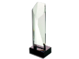 CRYSTAL GLASS TROPHY  009