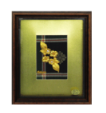 Flower In Wood Glass Frame