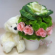 Bears & Flowers BF03