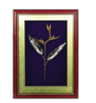 Queen's Bird Of Paradise Flower In Wood Glass Frame