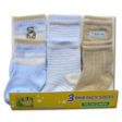 BUMBLE BEE Boy Teddy Sock - 3 Pairs Pack (S0007)