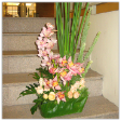 Floral Basket Arrangements with 1 Cymbidium & 12 Roses
