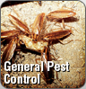 Maxpro Pest Control Service