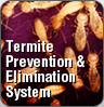 Termite Prevention & Elimination System