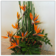 Floral Basket Arrangements with 10 Bird of Paradise