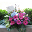 Floral Basket Arrangements with 1 Hydrangea, 3 Anthuriums & 10 Gerberas