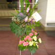 Congratulatory Floral Arrangement with 1 Brassica, 5 Matthiolas, 5 Anthurium & 10 Gerberas