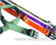 Colourful Lanyard