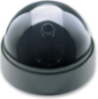 DCP1000 - Accessory Color Dome Camera Auto Pan/Tilt Color Dome Camera