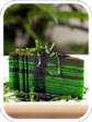 Lapis Evergreen Layered Cakes (Kek Lapis) from Sarawak 500gm