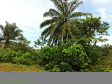 Open Bidding Property 9002 (Vacant Land) - Mukim 9, Nibong Tebal